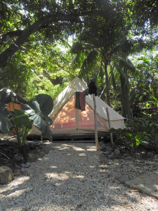 Lost Boyz Hostel Playa Santa Teresa  Kültér fotó